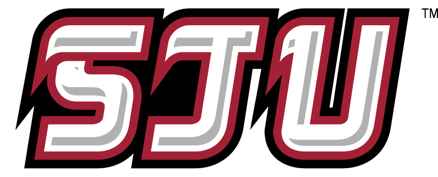 St. Joseph's Hawks 2002-2007 Secondary Logo v2 DIY iron on transfer (heat transfer)